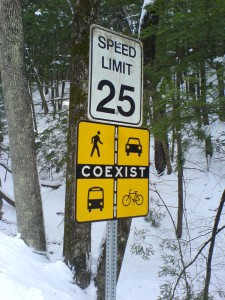 Road Sign COEXIST 1402 DSC05935